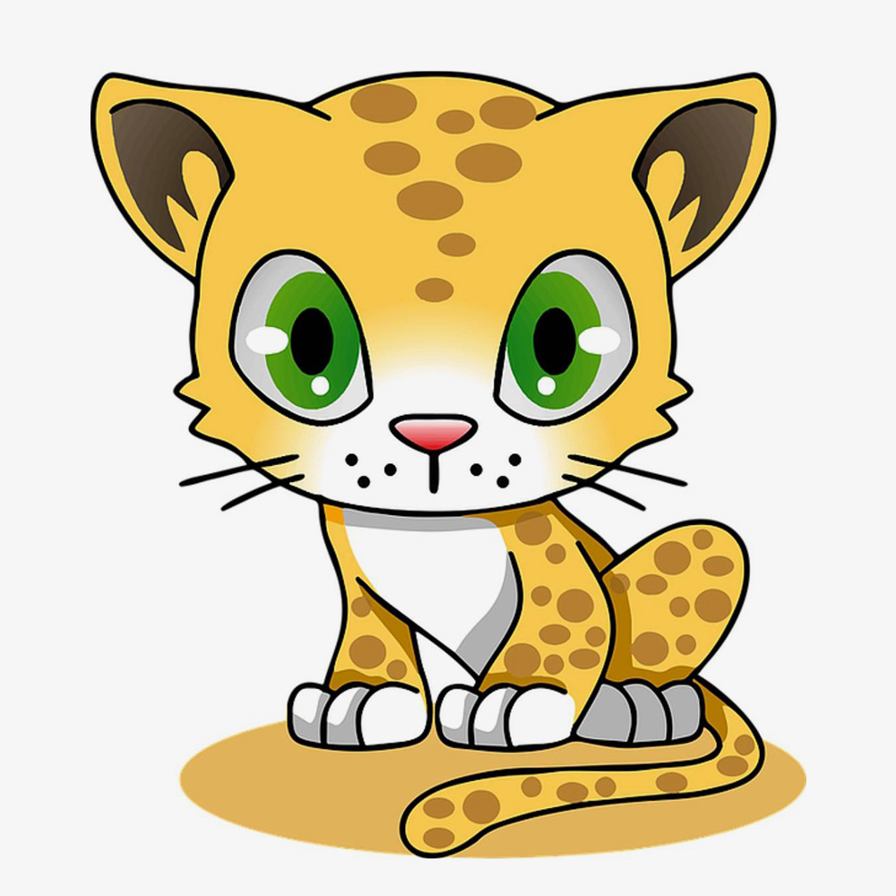 cheetah