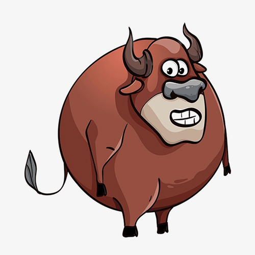 bull