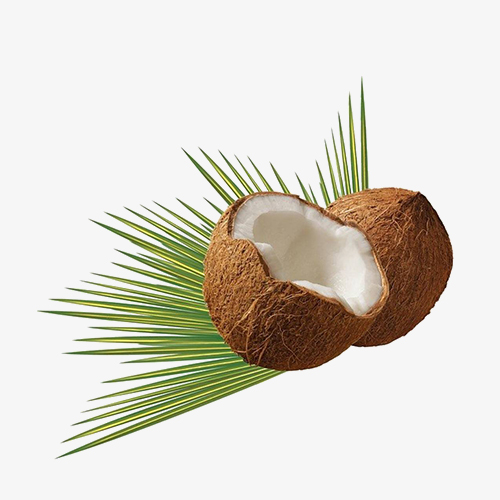 coconut
