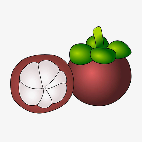 mangosteen