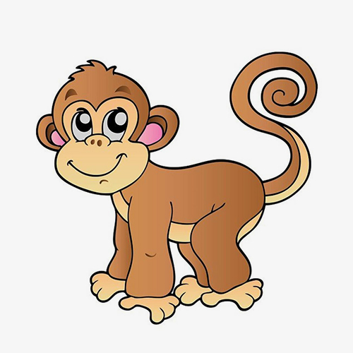 monkey