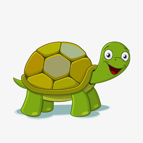 turtle